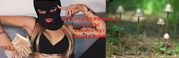твердый Абинск