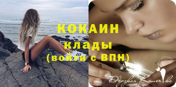 твердый Алексин